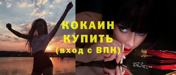 винт Елабуга