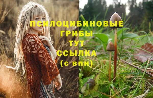 героин Дмитриев