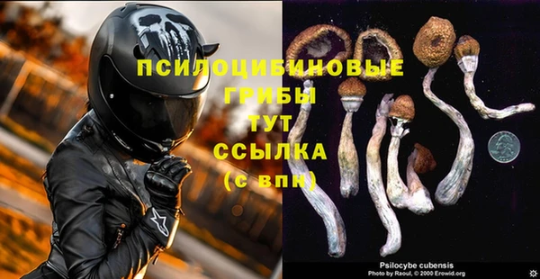 героин Дмитриев
