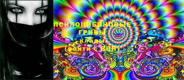 винт Елабуга