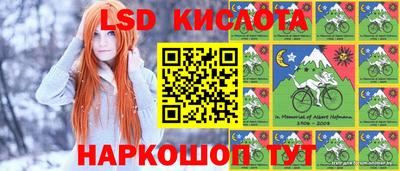 PSILOCYBIN Изобильный