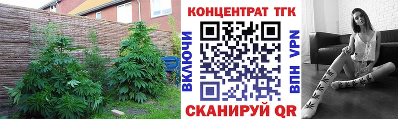 Дистиллят ТГК гашишное масло  Кизляр 