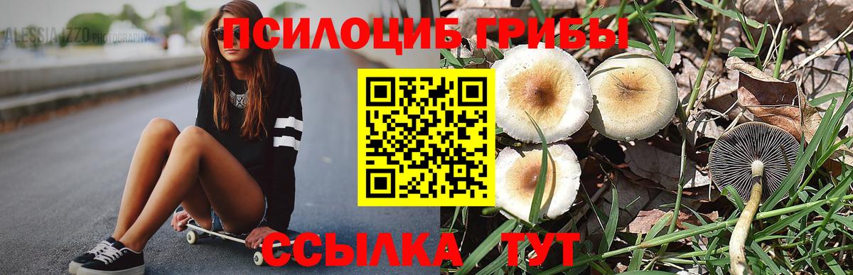 Псилоцибиновые грибы ЛСД Кизляр