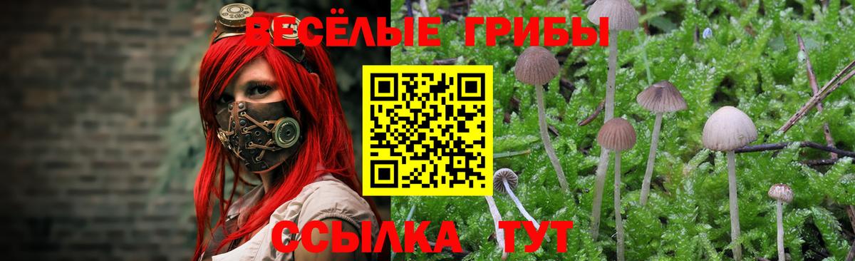 Кизляр  цены наркотик  Вход с VPN  Галлюциногенные грибы ЛСД 
